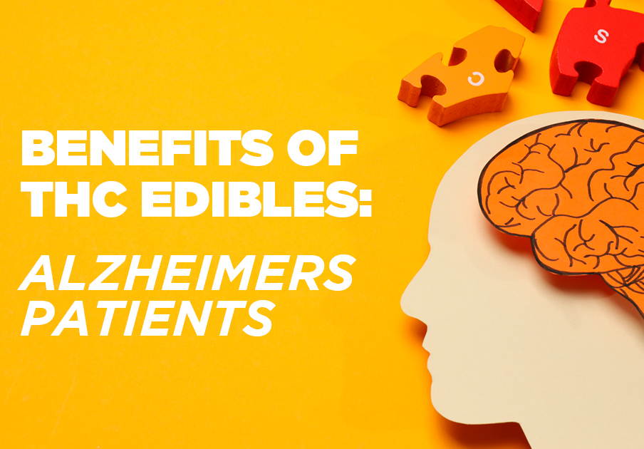 Benefits of Sofa King Edibles on Alzheimer Patients - Phhoto